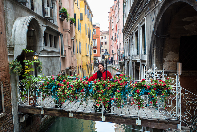 Venezia +++ red flowers