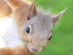 One of the youngsters at breakfast this morning