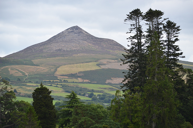 Great Sugar Loaf (501m) from Powerscourt Gardens Terrace