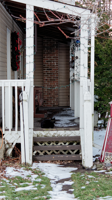 Porch, with cat