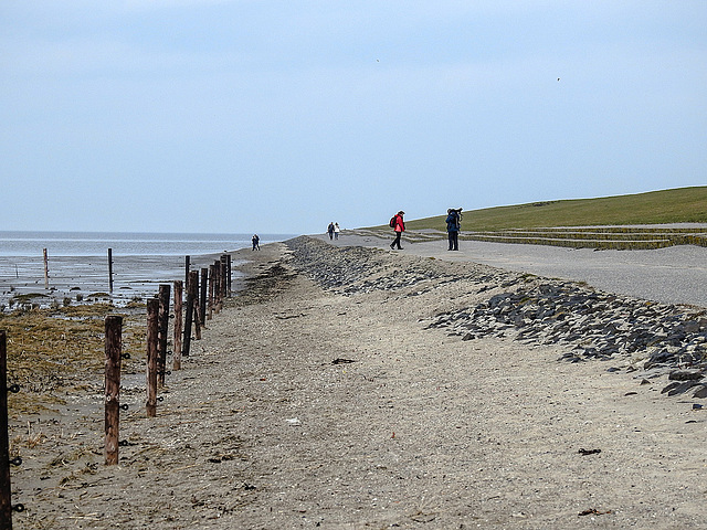 20180403 3408CPw [D~AUR]  Leybucht, Greetsiel