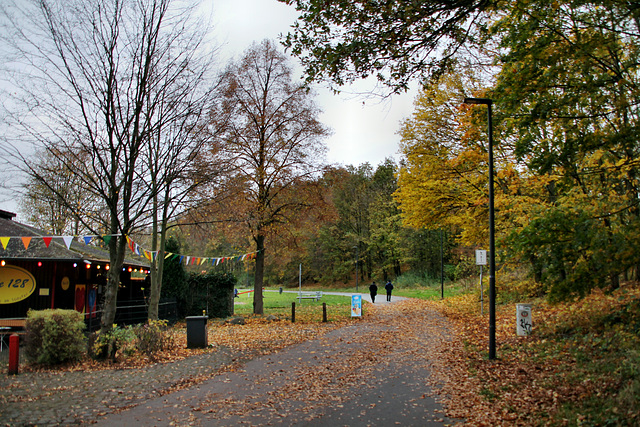 Weg am Kenmader See (Witten-Herbede) / 6.11.2021
