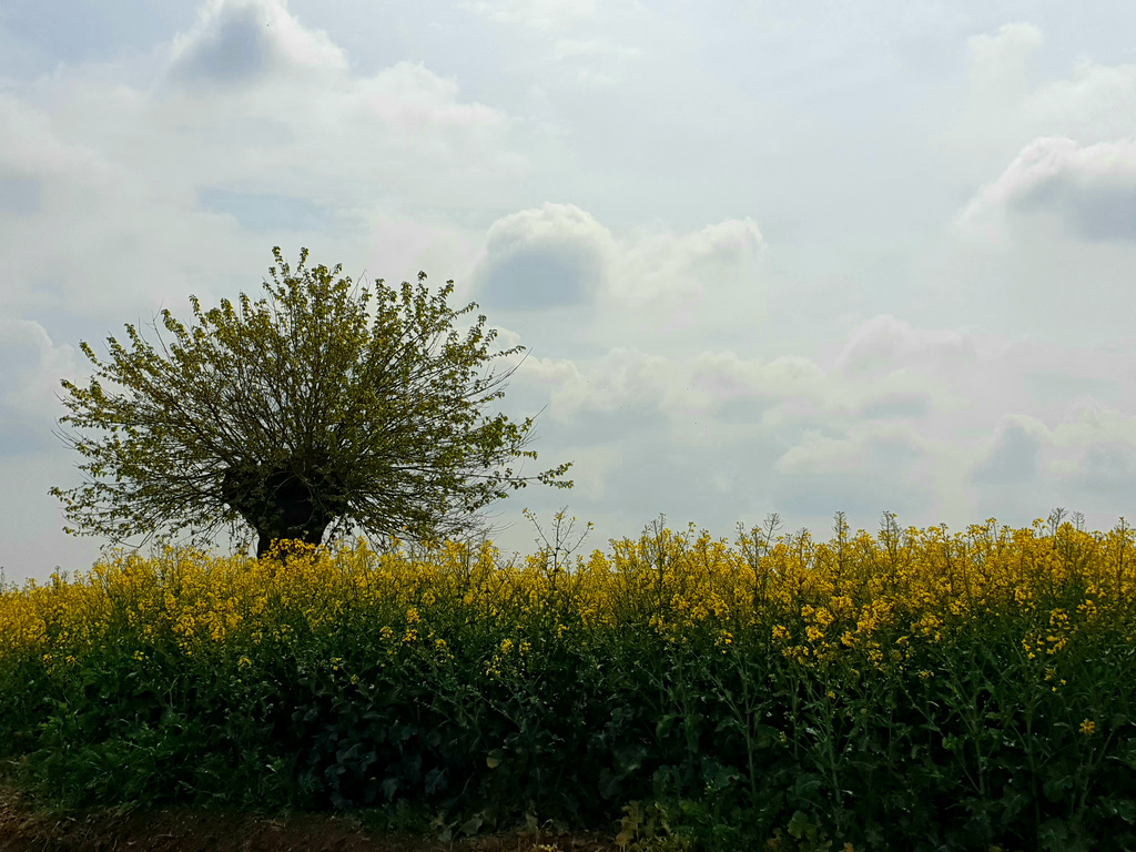 ...con le braccia rivolte al cielo