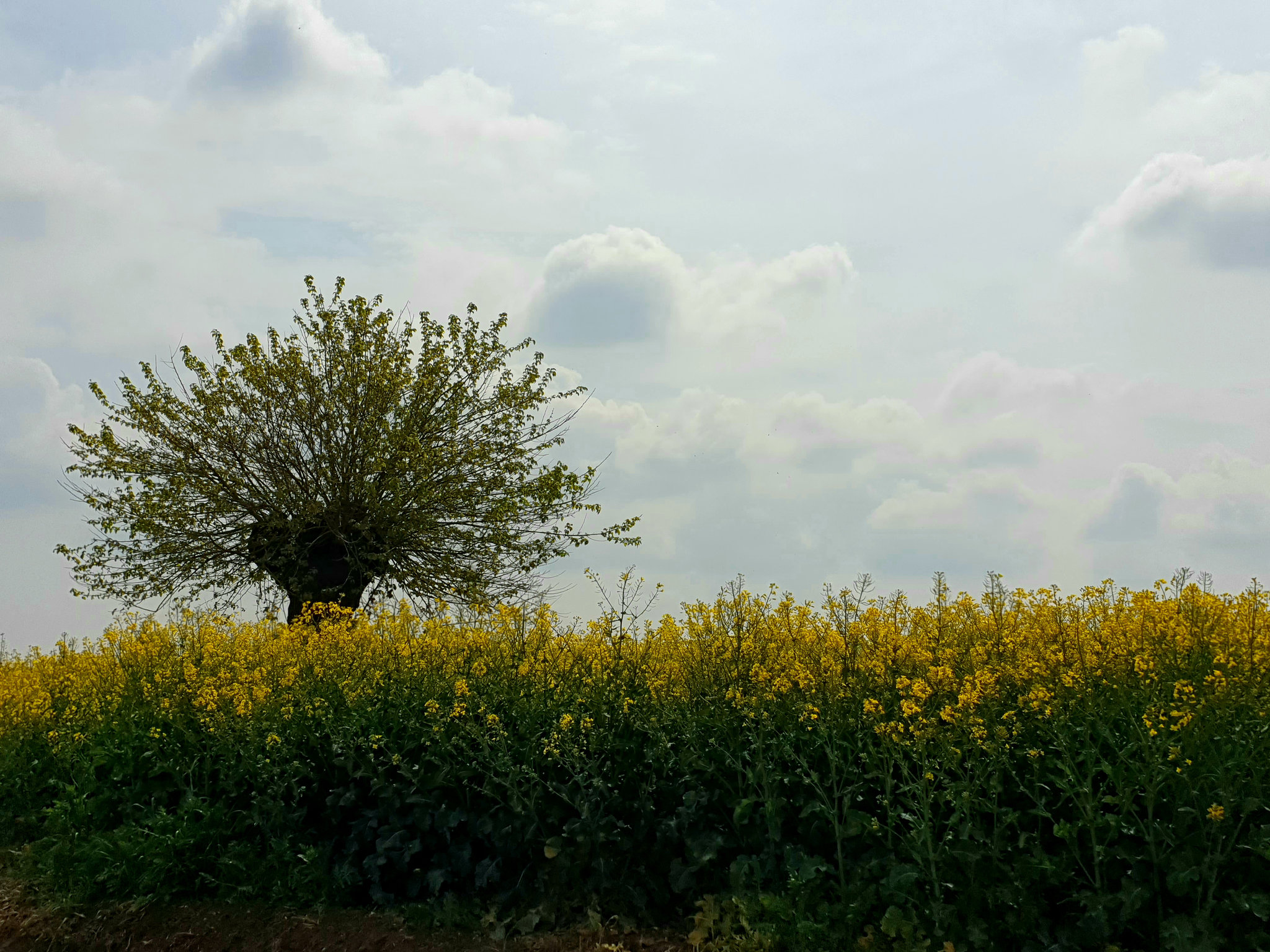 ...con le braccia rivolte al cielo