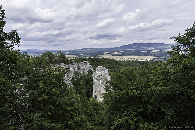 Umkehrung des Vegetationsgradienten  (© Buelipix)