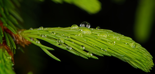 Den letzten Tropfen sollte man immer geniessen :)) You should always enjoy the last drop :)) Il faut toujours profiter de la dernière goutte :))