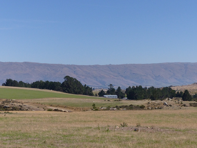 Taieri Gorge Railway (22) - 1 March 2015