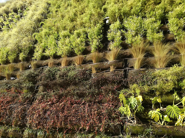 Garden wall