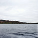 Kemnader See (Witten-Herbede) / 6.11.2021