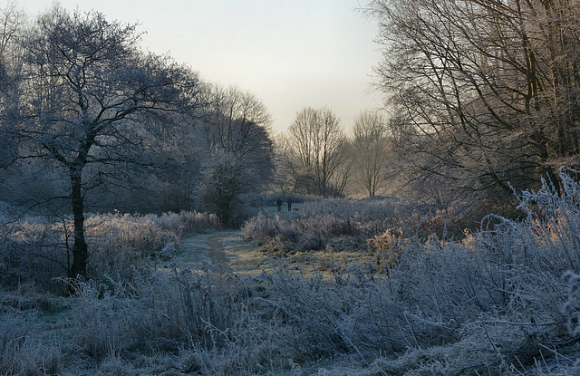 A December walk