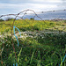 Penedos, Blue rope and fence