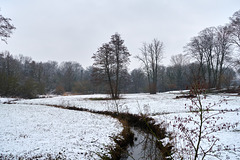 bachlauf-00215-co-18-02-16