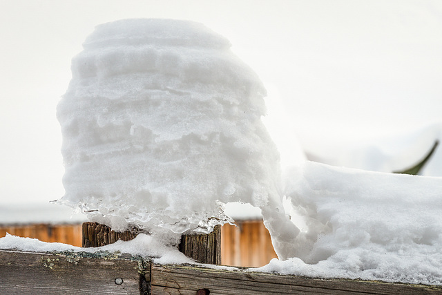 More snow than fence