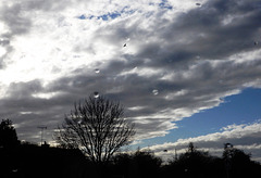 quand le ciel bleu revient