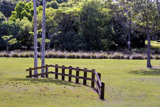 Park fence