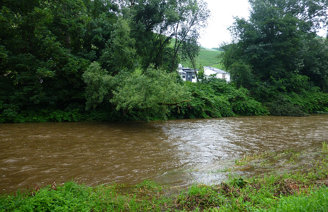 Zwischen Heppingen und Lohrsdorf, vier Tage vor der Flut