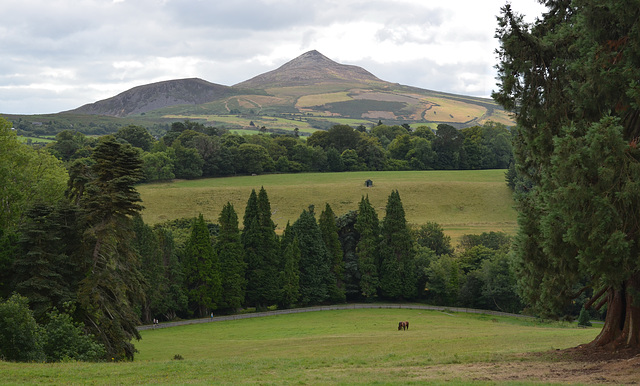 Irish Landscape with Great Sugar Loaf (501m)