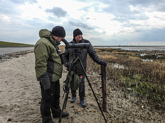 20180403 3411CPw [D~AUR]  Leybucht, Greetsiel