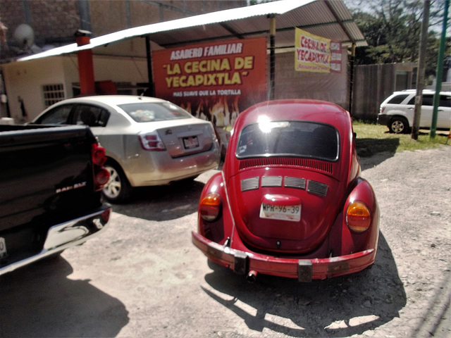 VW Cecina