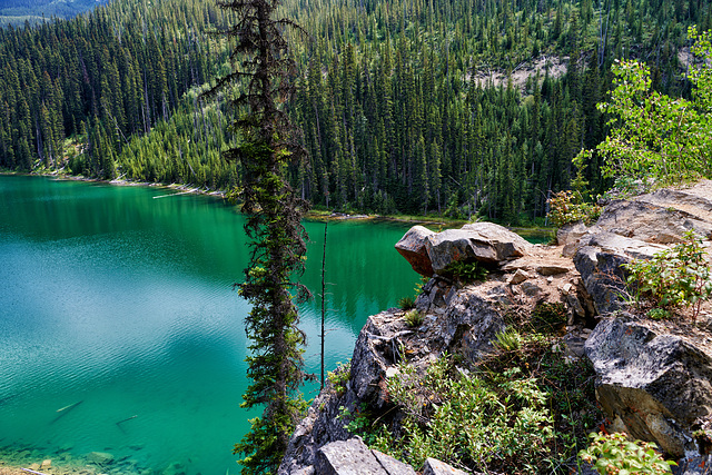 Vista Lake - Banff National Park