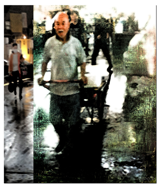 brouette japonaise brouette japonaise