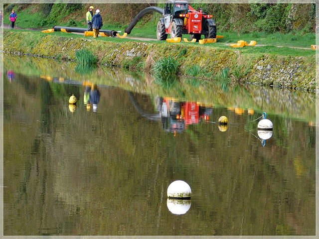 Reflets au bord de Rance (22)