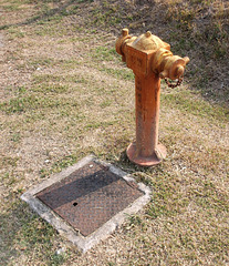 Borne fontaine malaisienne / Malaysian hydrant