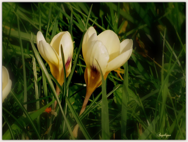 Bon vendredi à tous / HFF