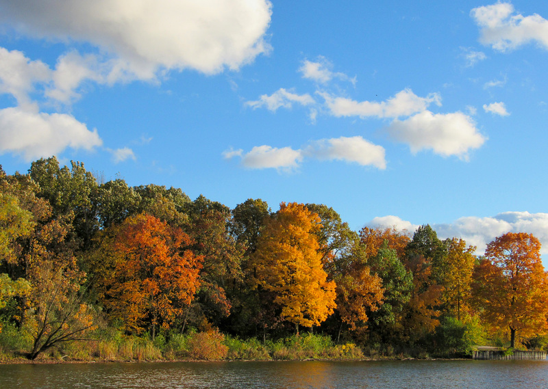 Beautiful Autumn Day