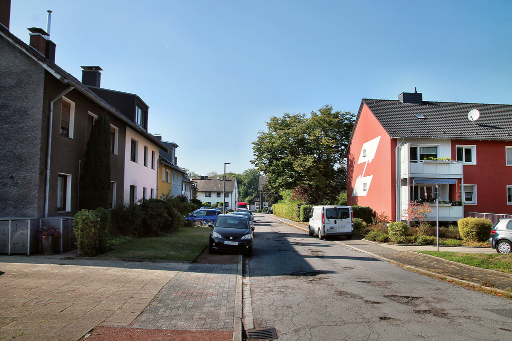 In der Stühe (Castrop-Rauxel-Henrichenburg) / 11.09.2022