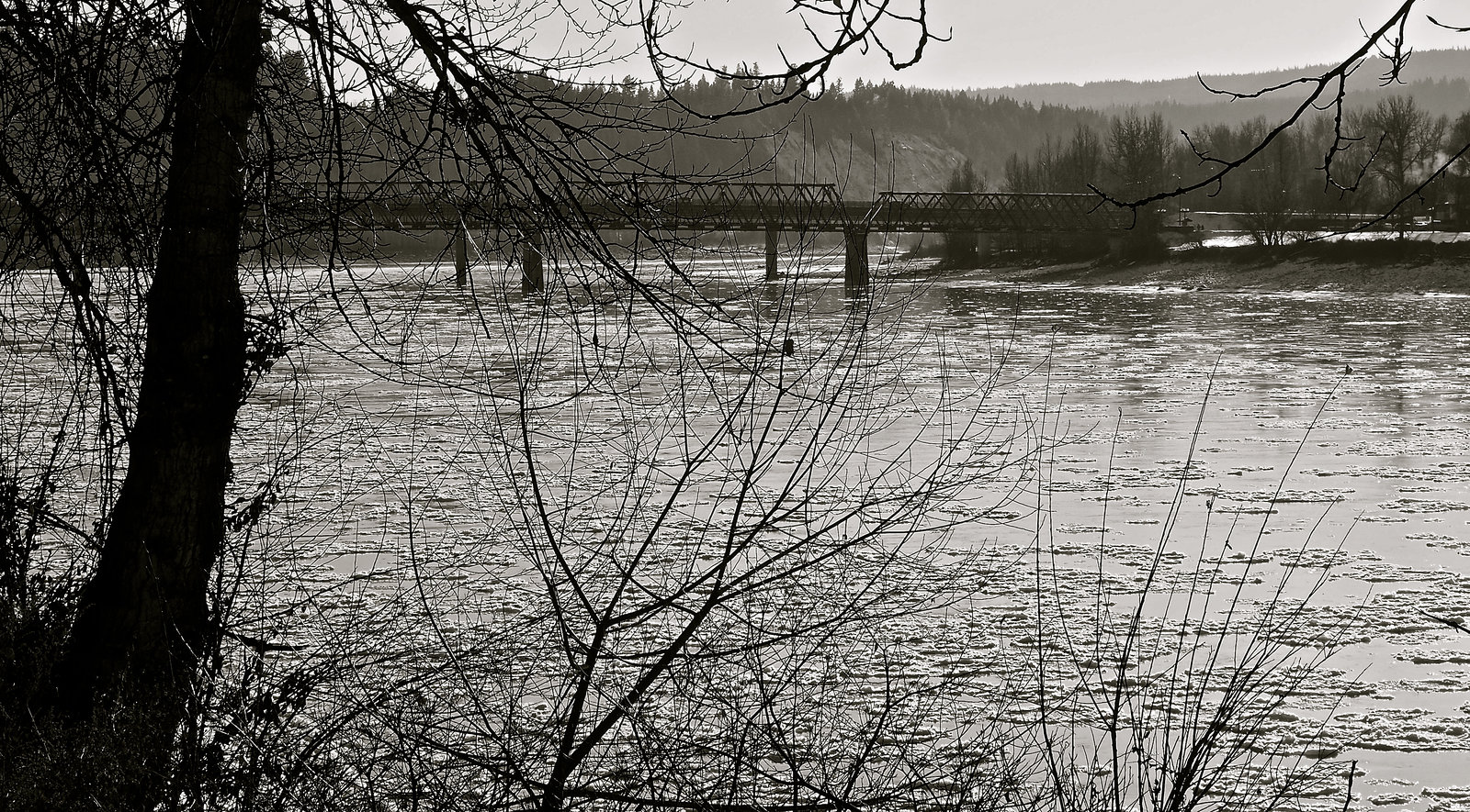 Fraser River