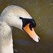 Swan neck!