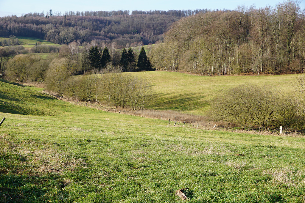 Zwischen Düna und Hörden II