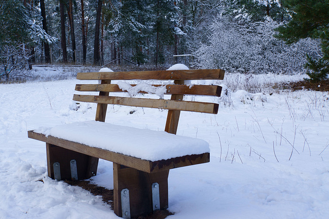 Happy Bench Monday to All of You