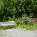 Alaska, The Bench in the Park of Denali Mountain View