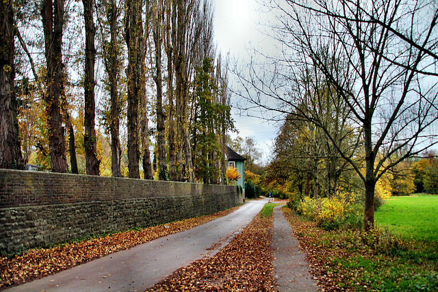 Feldstraße (Witten-Herbede) / 6.11.2021