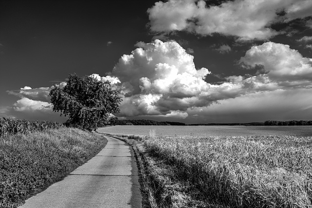 Fat Cloud - Dicke Wolke II (150°)