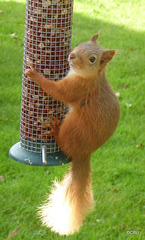 One of the youngsters at breakfast this morning