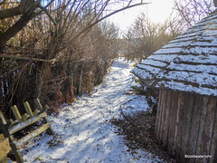 Pond garden -  February snow