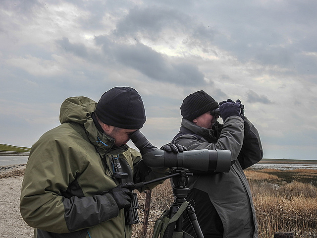 20180403 3413CPw [D~AUR]  Leybucht, Greetsiel