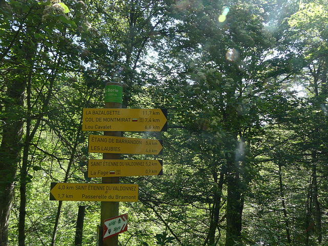 20230606 -08 Lozère tritons (90)