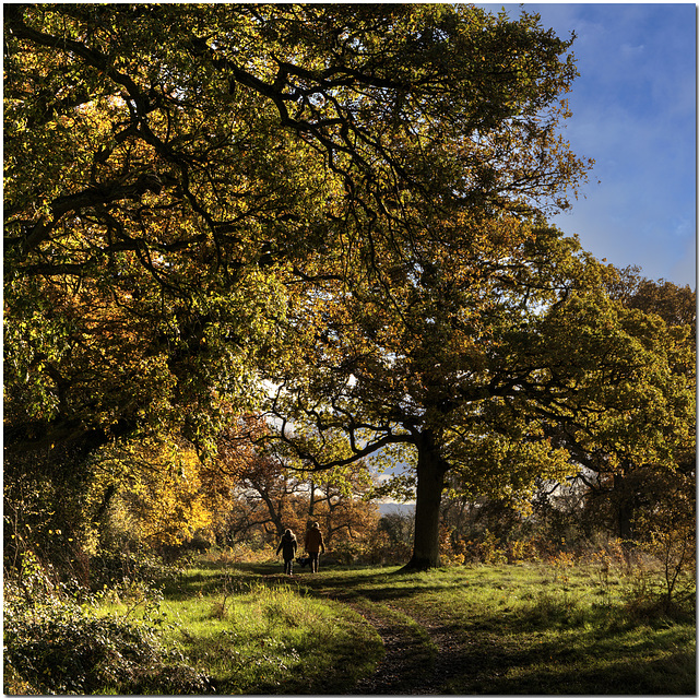 Monarch's Way, Oxfordshire