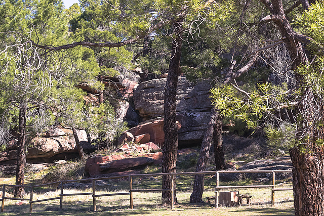 pinares de rodeno