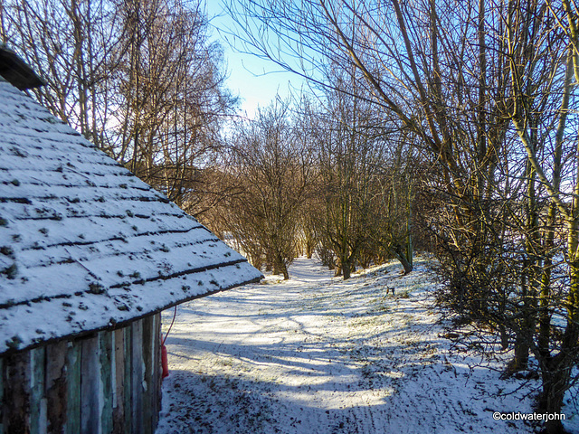 Pond garden -  February snow