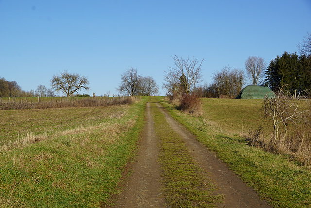Feldweg