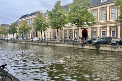Swimmers