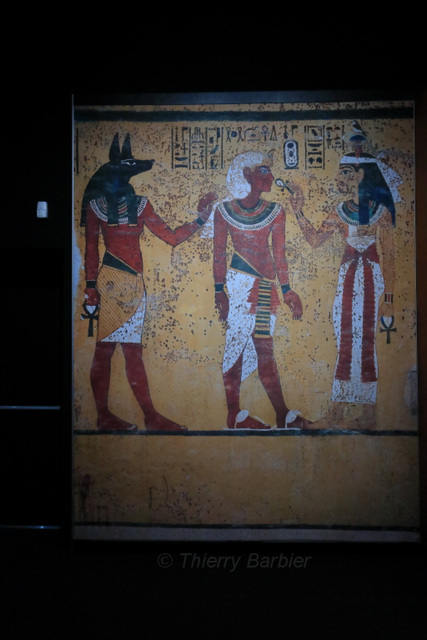 Toutankhamon 071