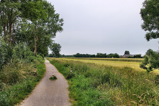 Weg am Selmer Bach (Selm) / 14.06.2025