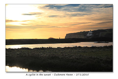 Cyclist in the sunset - Cuckmere Haven - 27.1.2015