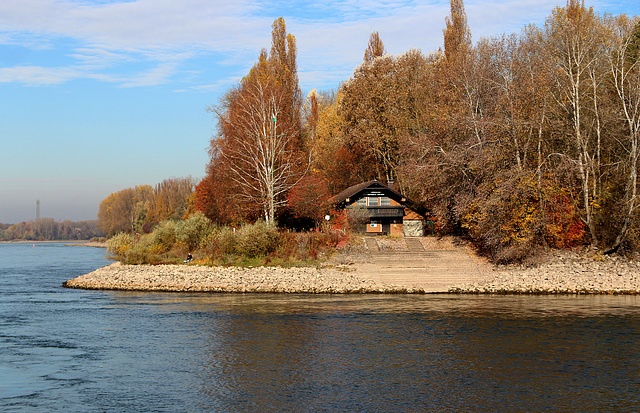 Rhein mit Rheinarm